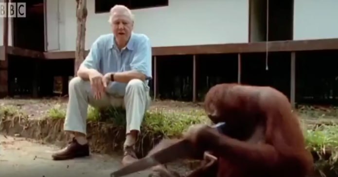 Mi jefe observando cómo trabajo después de alcanzar el límite de uso de Claude