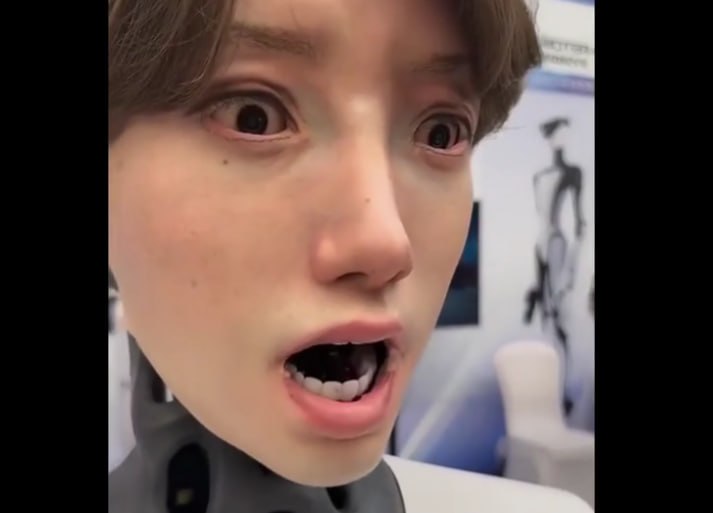 Otro rostro CyberNani avistado: los androides avanzan