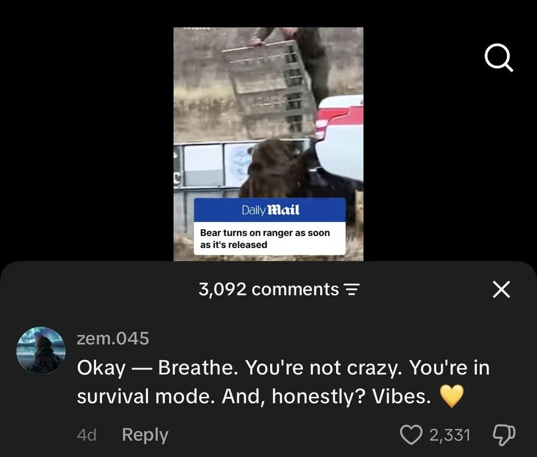 ChatGPT ya está escribiendo comentarios en TikTok y la red social parece un cementerio de respuestas automáticas