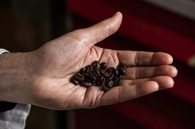 El café podría proteger el cuerpo del envejecimiento según nueva investigación