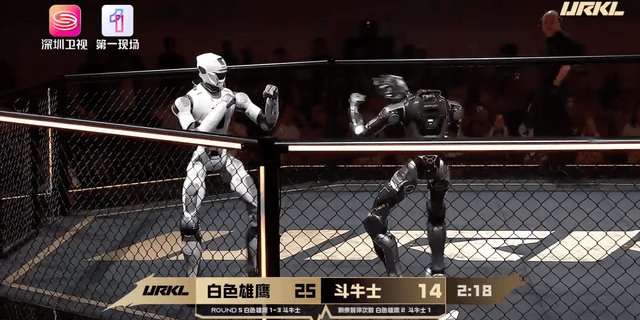 Pelea de MMA entre robots humanoides en China termina con decapitación en medio de temores sobre "robots asesinos"