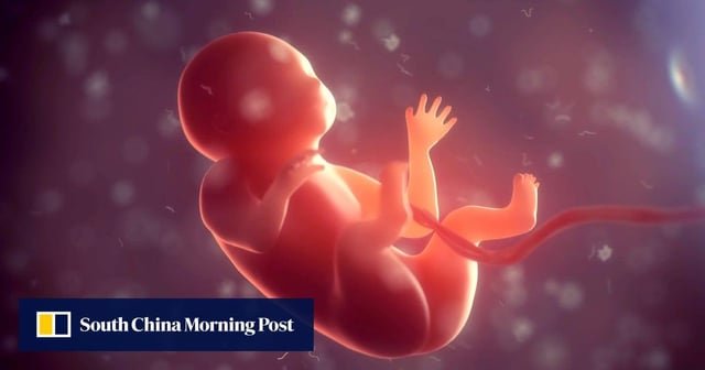 Científicos chinos traen malas noticias sobre tener bebés en el espacio, pero hay un lado positivo