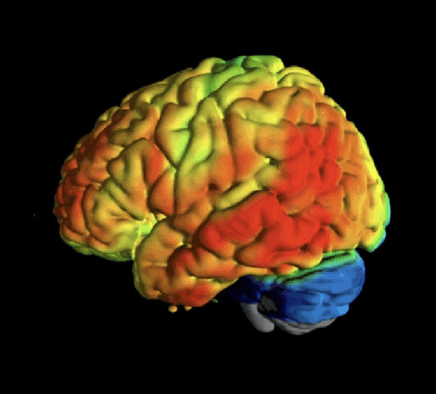 Neurocientíficos investigan si la producción natural de DMT explica las diferencias en la conciencia