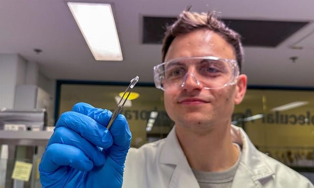 Nuevo estudio avanza en parches de microagujas secas para vacunas de ARNm que facilitan su distribución sin cadena de frío