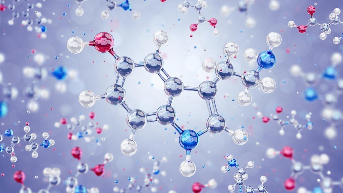 La serotonina reduce la 'rigidez de creencias', revela un estudio con implicaciones para el TOC