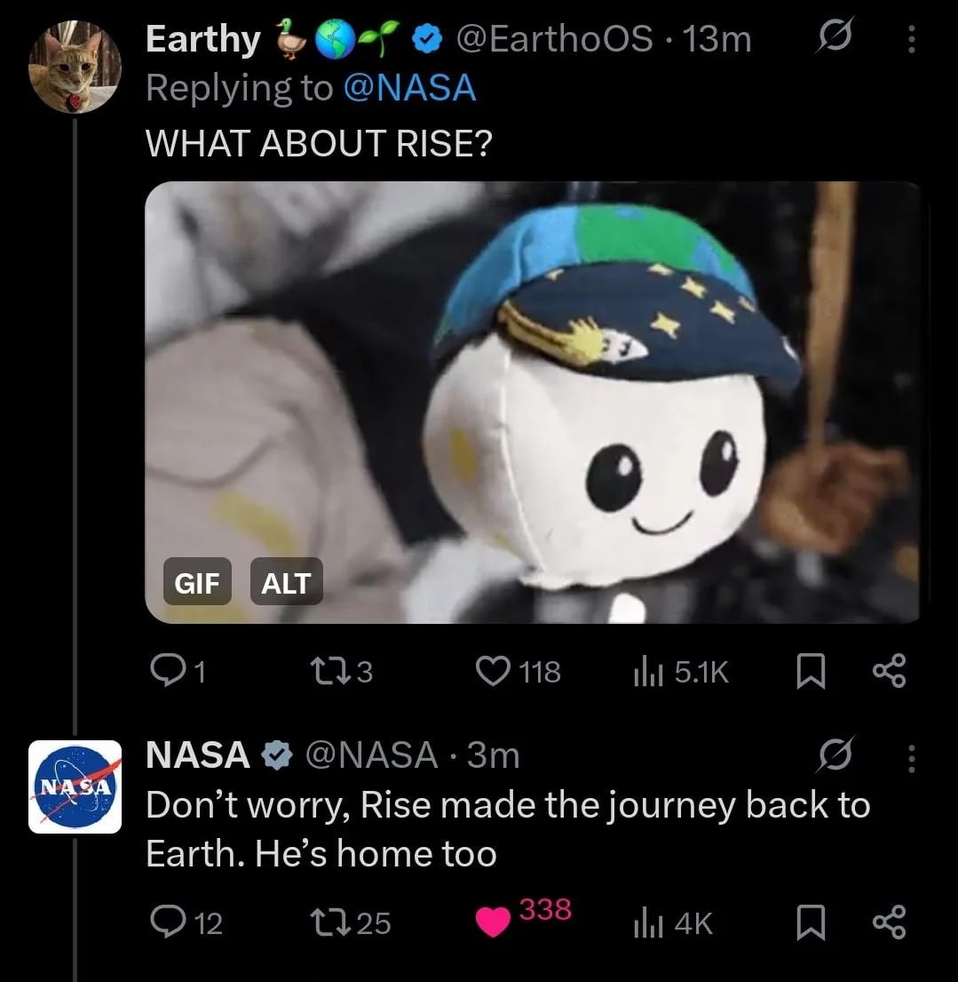 OLVIDAOS DE LOS ASTRONAUTAS, RISE HA VUELTO A CASA!!!