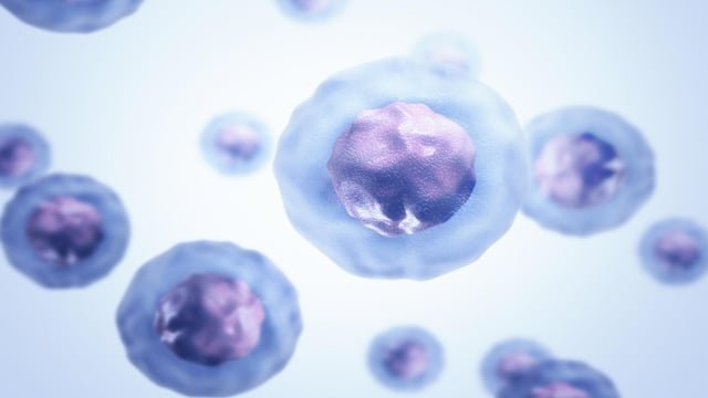 Científicos de la Universidad de Minnesota construyen una célula sintética que crece, se divide y transmite ADN a su descendencia
