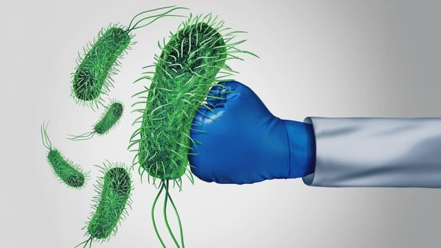 Científicos reviven la vancomicina, un potente antibiótico derrotado por superbacterias