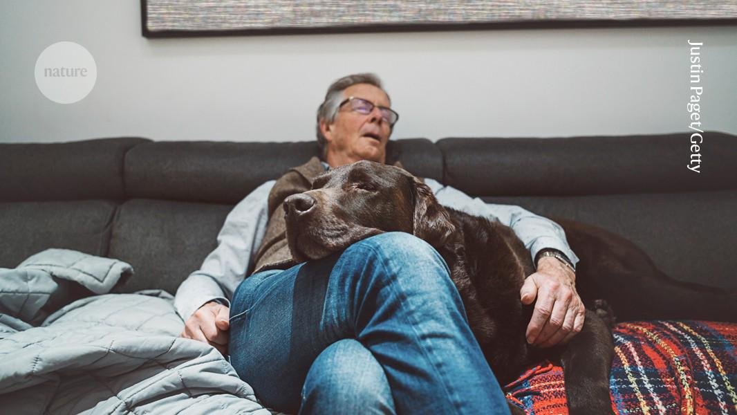 Dormir está vinculado con un envejecimiento más lento: un gran estudio determina la cantidad ideal de sueño