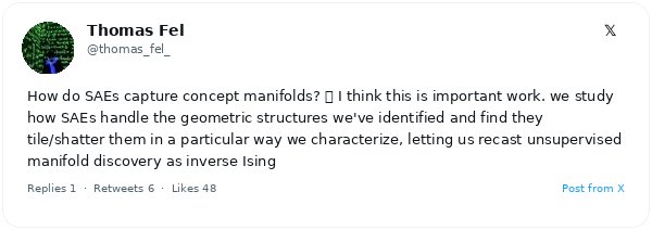 GoodfireAI revela que los autoencoders dispersos teselan y fragmentan las variedades neuronales curvas, replanteando el aprendizaje no supervisado como un problema inverso de Ising