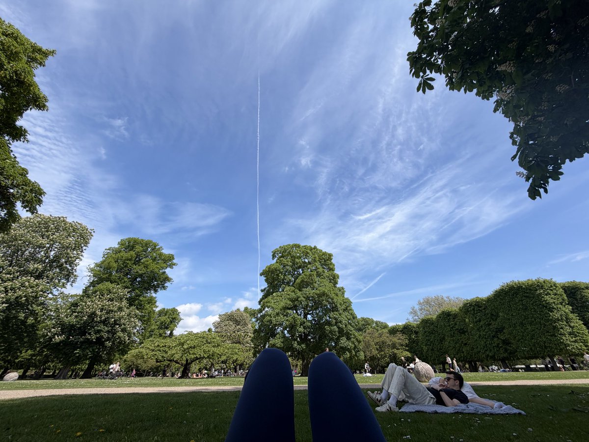 Investigadora de IA huye del burnout y se topa con los modelos del mundo en un parque de Copenhague