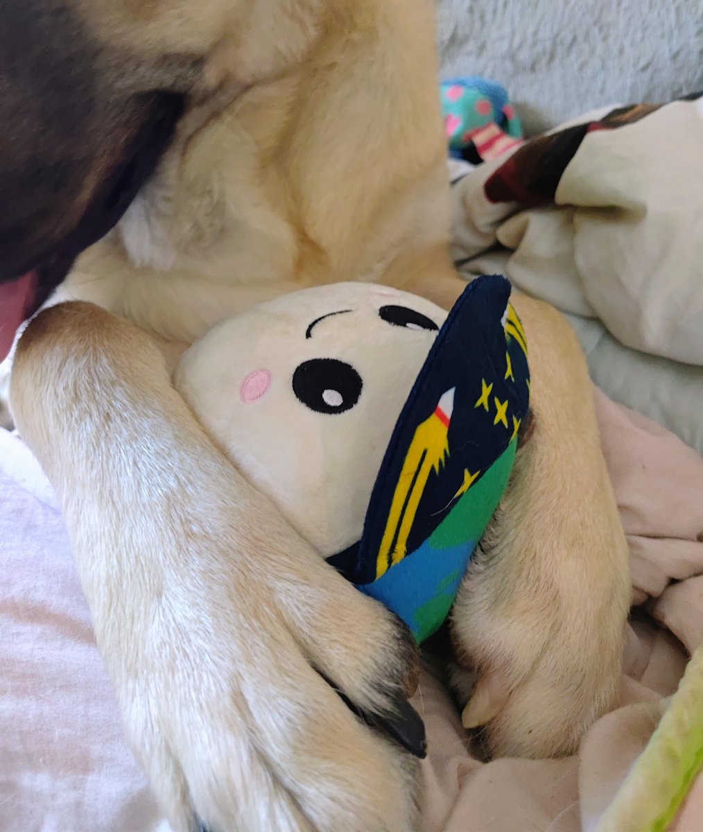Solo un niño y su nuevo mejor amigo
